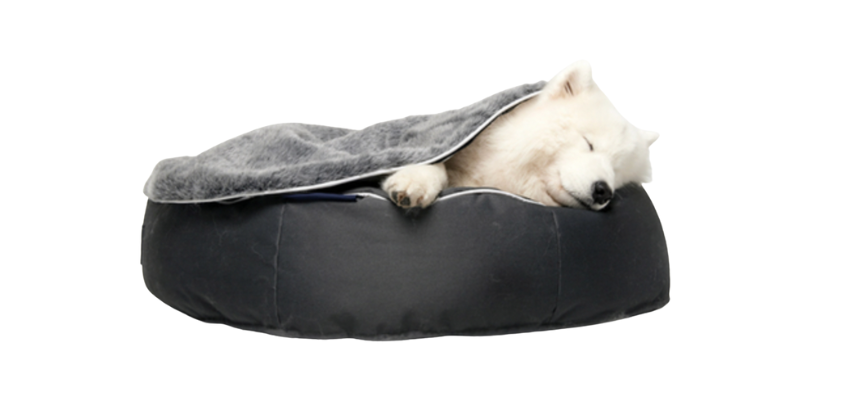 Ambient lounge Luxury Dog bed